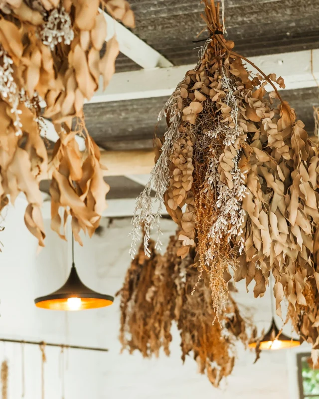 Good Friday 🤍

A time to slow down, reflect, and embrace the quiet moments.

Wishing you a peaceful Easter weekend, however you choose to spend it.😊

#GoodFriday #EasterWeekend #SlowMoments #PeacefulLiving #StellenboschLife #Winelands #QuietMoments #EasterVibes #MindfulLiving #SimpleMoments