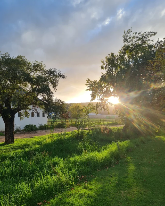 There’s a quiet kind of power in today.

Not loud, not rushed,
but present in the light that lingers a little longer,
in the stillness between conversations,
in the feeling that something has been made new again.

A gentle reminder of grace,
of renewal,
of beginnings we don’t always see, but somehow feel.

And here, tucked between the hills and open skies,
it all feels just a little closer.

Wishing you a meaningful Easter Sunday,
wherever and however you’re spending it. ✨

#EasterSunday #TheSiloAndShed #StellenboschLife #Winelands #Renewal #Grace #SlowLiving #EasterVibes #SacredMoments